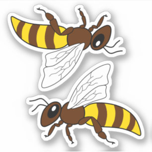 Adesivo Abelhas de Honeybee Vinyl Stickers
