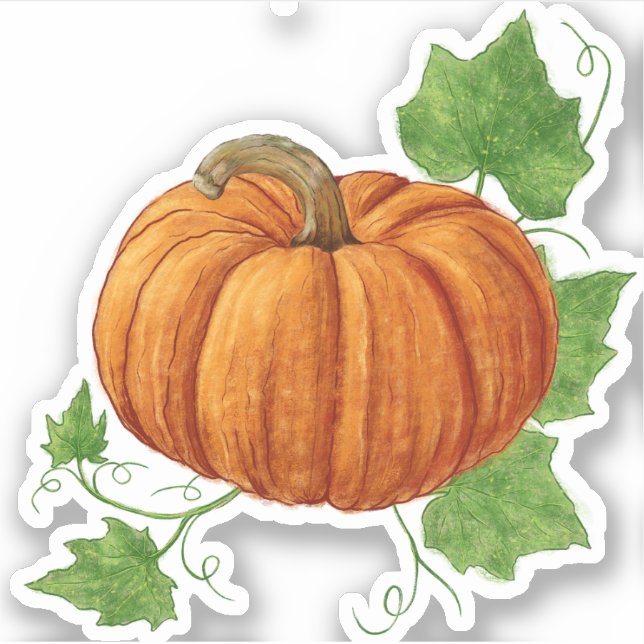 Adesivo Abóbora laranja grande e bela com folhagem (Frente)