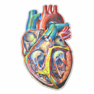 Adesivo abstrato de anatomia colorida do coração humano