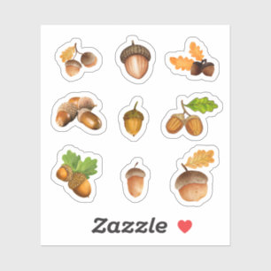 Adesivo Acorn Stickers