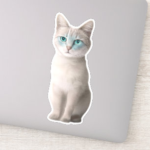 Adesivo Adorable Ojos Azules Cat Sticker - Personalizável