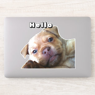 Adesivo Adorno de telefone cachorrinho fofo diz olá