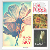 Afirmação Floral 4 Coleção de Peça