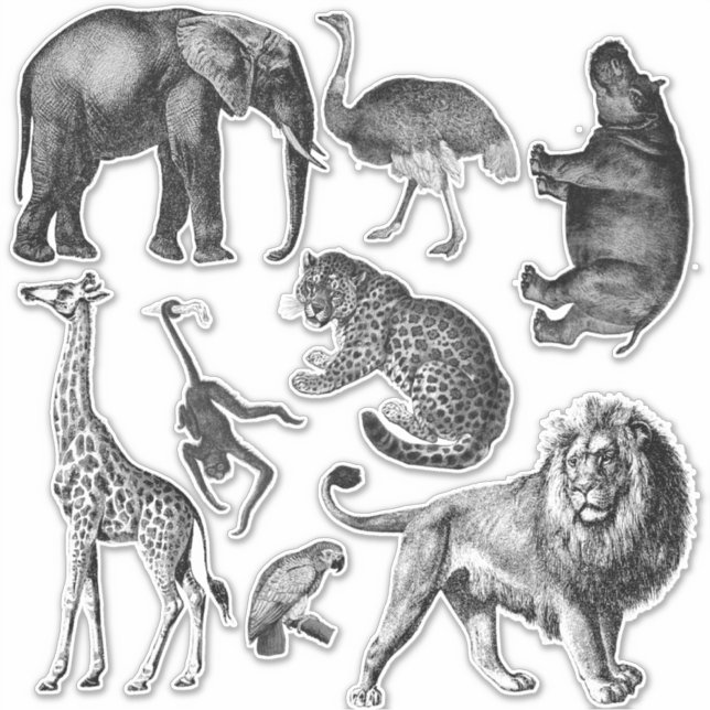 Adesivo African Animals Set Vinyl Decal (Frente)