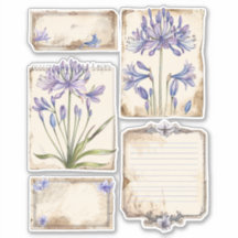 Agapanthus Fussy Cut Ephemera