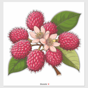 Adesivo Aglomerado de Rambutã Brilhante com Flores Rosas