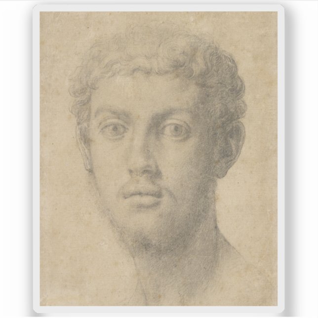 Adesivo Agnolo Bronzino - Chefe de um Homem (Frente)