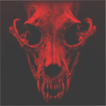 ALACREIDADE MALIGNA | Vinheta