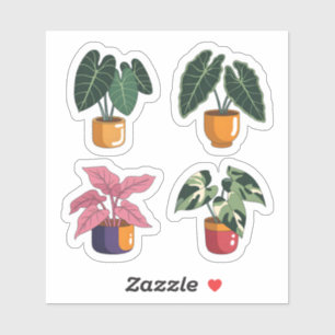 Adesivo Alocasia & Aquarela de Planta Rara