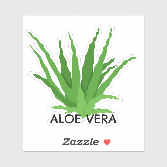 Adesivo Aloe vera Green Succulent (Folha)