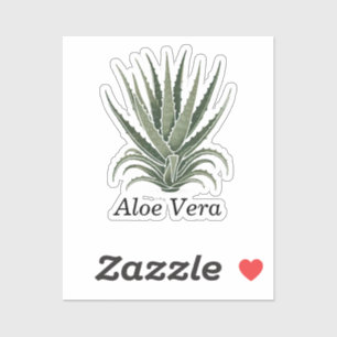 Adesivo Aloe Vera Plant Herbal Apothecary
