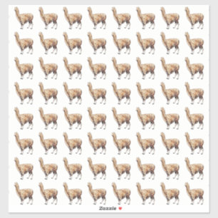 Adesivo alpaca
