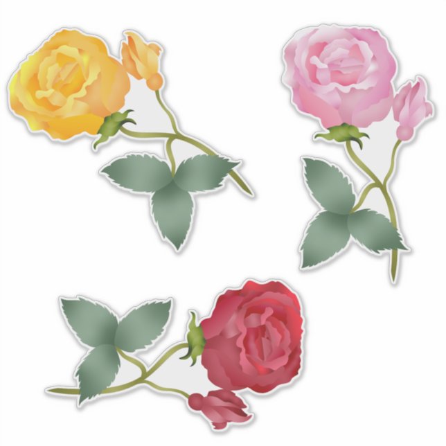 Adesivo Amarelo, Rosa E Rosas vermelhas (Frente)