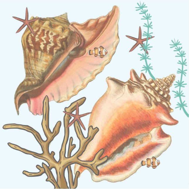 Adesivo Amêijoas de Starfish, vinil Stickers (Frente)