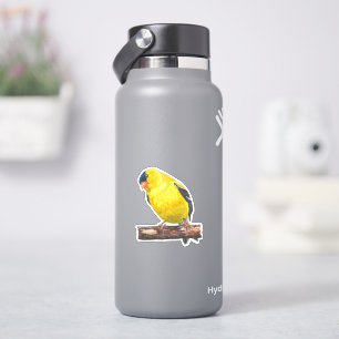 Adesivo American Goldfinch Sticker