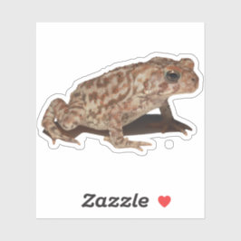 Adesivo American Toad Vinyl Sticker