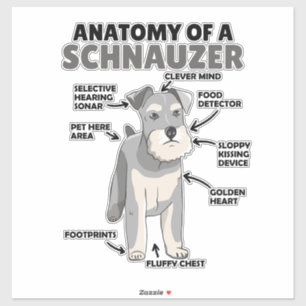 Adesivo Anatomia De Cachorro Cuto Schnauzer