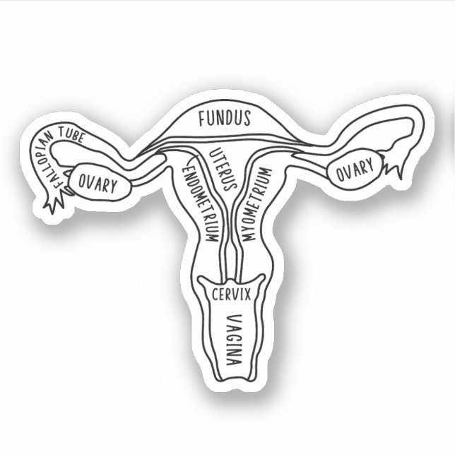Adesivo Anatomia do útero, feminista, ginecologista, parte (Frente)