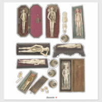 anatomia humana bonecas com partes do corpo folha