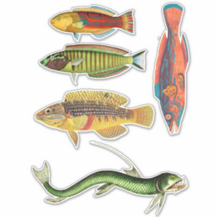 Adesivo Animais coloridos do oceano da natureza da arte