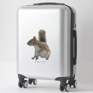 Adesivo Animal selvagem de esquilo