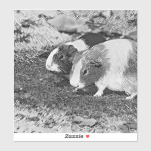 Adesivo AnimalArtBW_GuinéPig_003