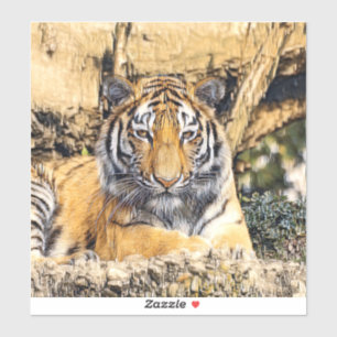 Adesivo AnimalMix_Tiger_009