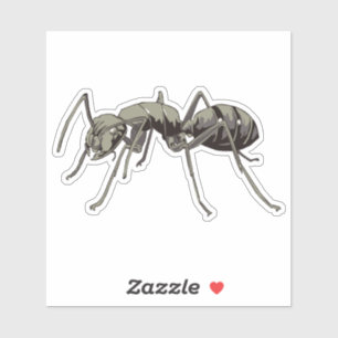 Adesivo Ant