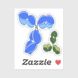 Adesivo Antibody IgG 1 or 4, blue and green