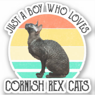 Adesivo Apenas um menino que ama gatos Cornish Rex