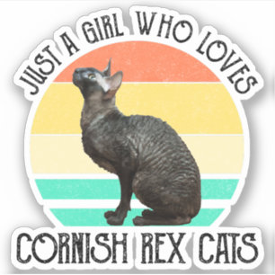 Adesivo Apenas Uma Garota Que Ama Gatos Cornish Rex