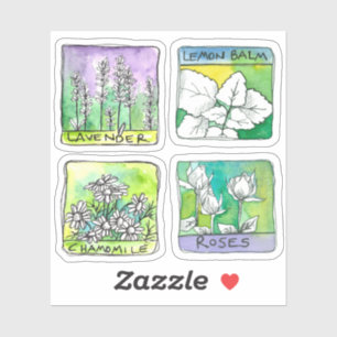 Adesivo Apothecary Herbal Tea Jar Labels Chamomile Rosa