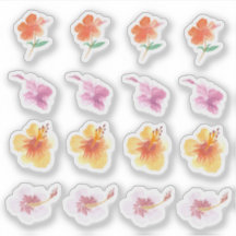 Aquarela Hibisco Flores Coloridas Pintadas à Mão