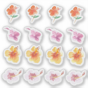 Adesivo Aquarela Hibiscus Florais Coloridos Pintados À Mão