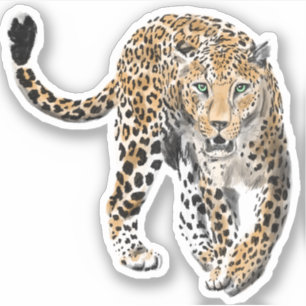 Adesivo aquarela leopardo gato da selva animal pintado ver