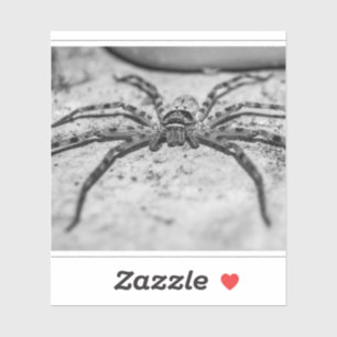 Adesivo Aranha-caçadora