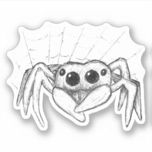Adesivo Aranha e Esquema da Web