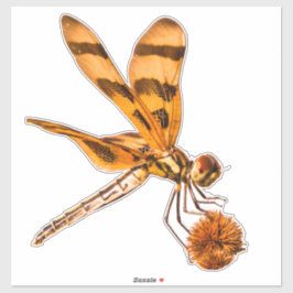 Adesivo Armadilha de galáxias com galinha em Bur-Reed