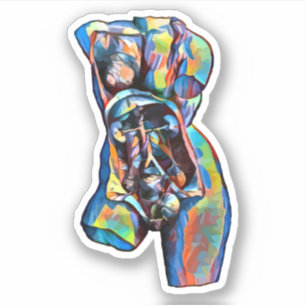 Adesivo arte abstrata corpo anatomia humana feminina color