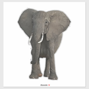 Adesivo Arte Animal Safari Selvagem de Elefantes Africanos