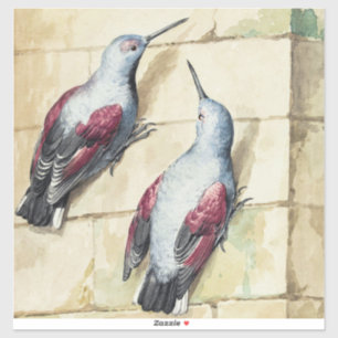 Adesivo Arte em Aquarela de Pássaro Vermelho e Cinza Antig