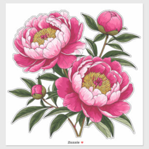 Adesivo Arte Floral de Peônia Rosa Vibrante