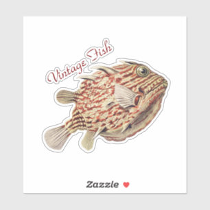 Adesivo Arte Vintage de Ernst Haeckel - Boxfish Vermelho N