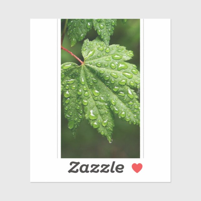 Adesivo Artesanatos e suprimentos de terceiros > Supriment (Folha)