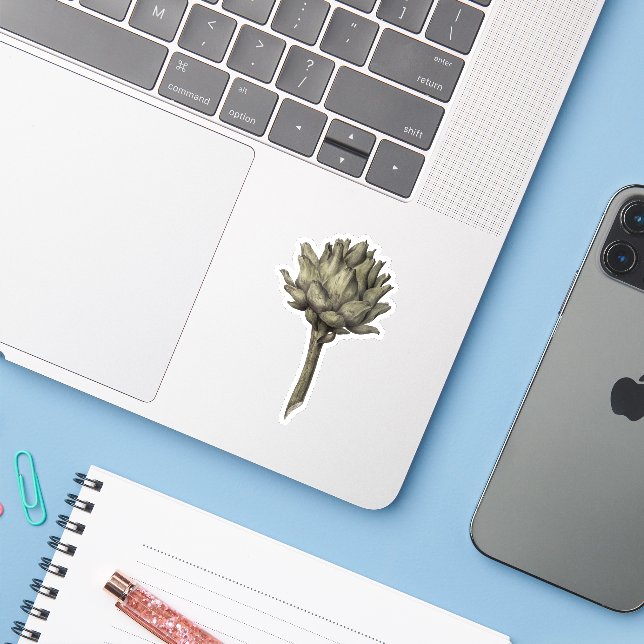 Adesivo Artichoke (Notebook com iPhone)