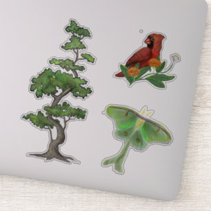 Adesivo Árvore, Luna Moth e Cardinal Bird Nature