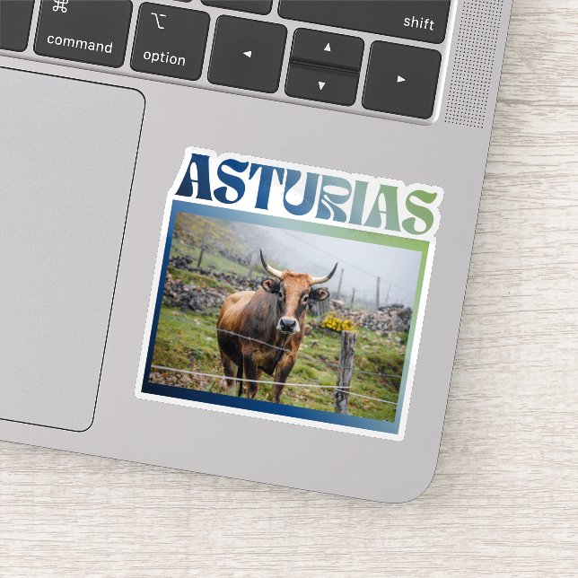 Adesivo Asturias Spain Cow Photo Travel (Detalhe)