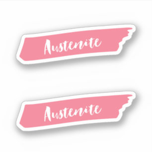 Adesivo Austenite Pincel Rosa