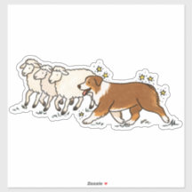 Australian Shepherd - Pastoreio