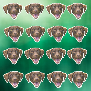 Adesivo Autocolante De Cão Personalizado, Presentes De Cão